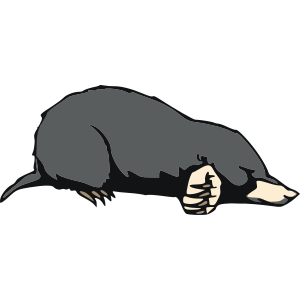 Kent Mole Catcher